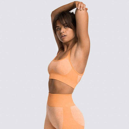 2 Piece Set Seamless Gym Wear Leggings for Women with Breathable Yoga Bra - High Quality Activewear