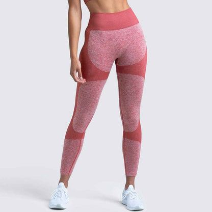 2 Piece Set Seamless Gym Wear Leggings for Women with Breathable Yoga Bra - High Quality Activewear