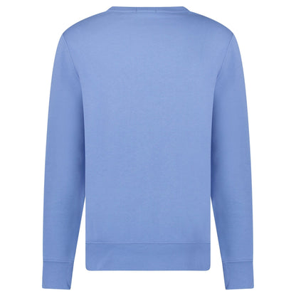 Polo Ralph Lauren Bear Crew Sweatshirt in Blue
